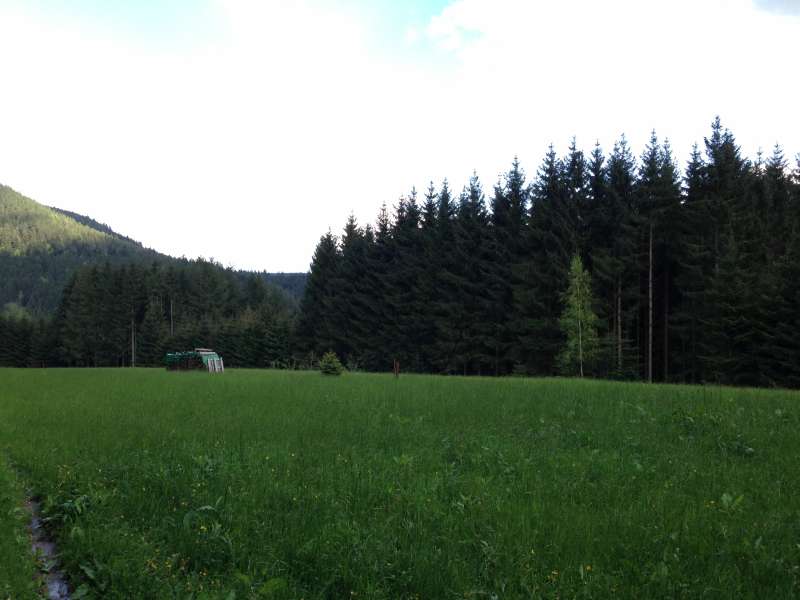 Urlaub im Nordschwarzwald im Ferienhaus mit Wellness