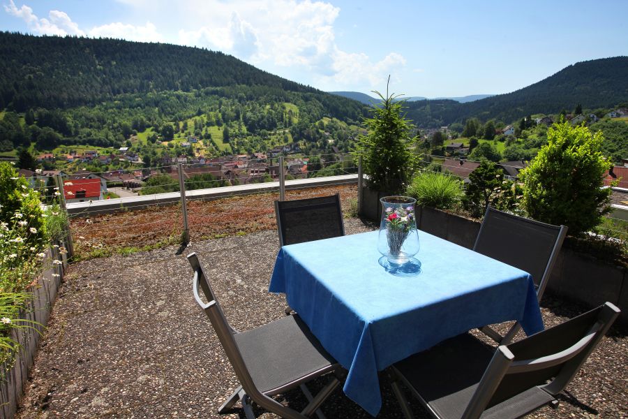 Herrlicher Blick von unserer Schwarzwald Ferienwohnung Terrasse ins Kinzigtal