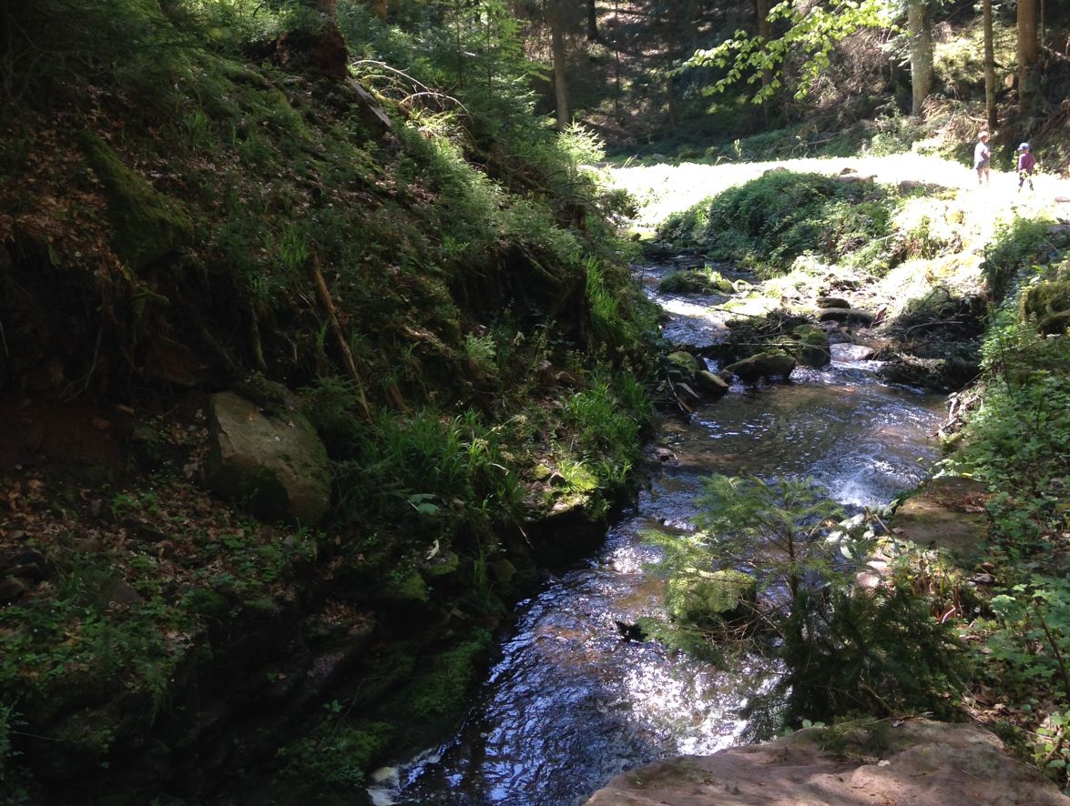 Flößerpfad Schwarzwald Lossburg Alpirsbach