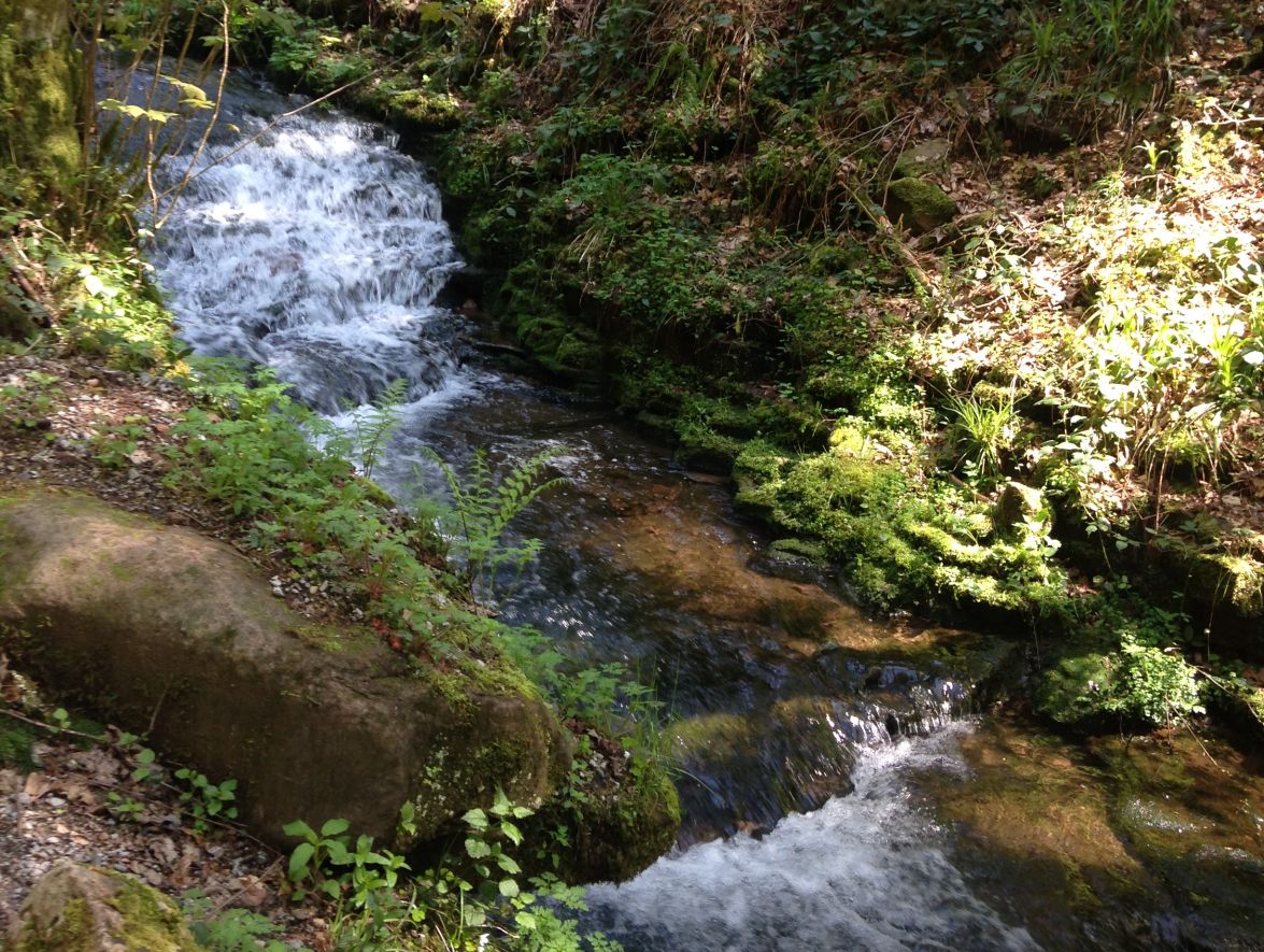 Flößerpfad Schwarzwald Lossburg Alpirsbach