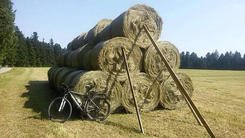 Skifahren Mountainbiken Wandern im Schwarzwald