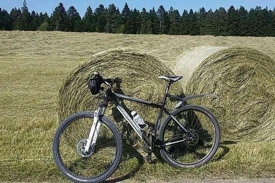 Skifahren Mountainbiken Wandern im Schwarzwald